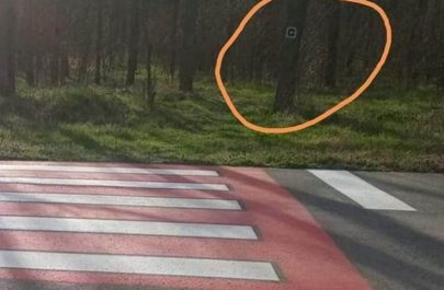 trecere pentru pietoni padurea ceala traseu