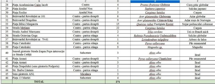 plantari copaci 3